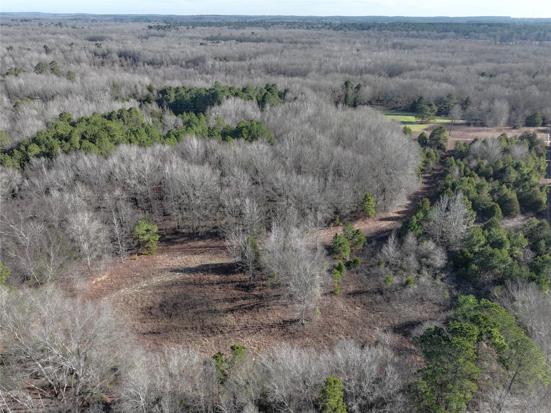 80.87 acres in Wood County gallery image 3