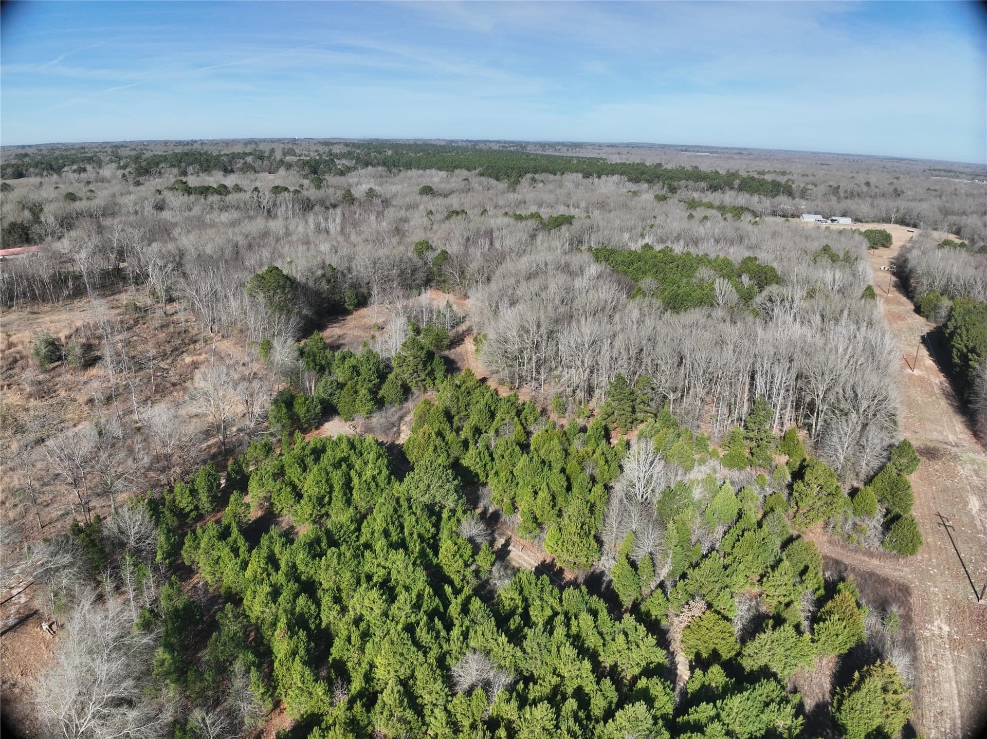 80.87 acres in Wood County featured view