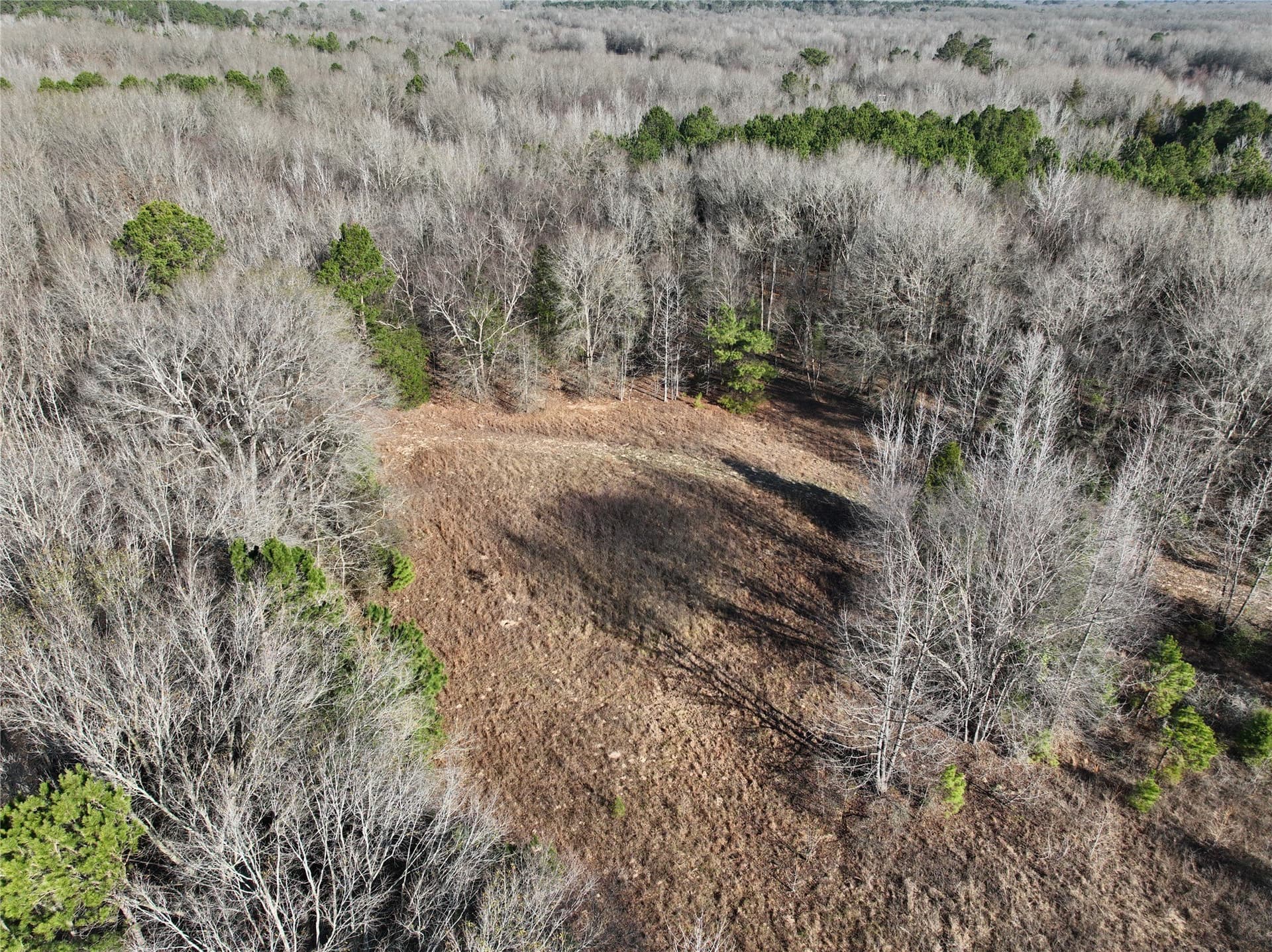 80.87 acres in Wood County gallery image 4