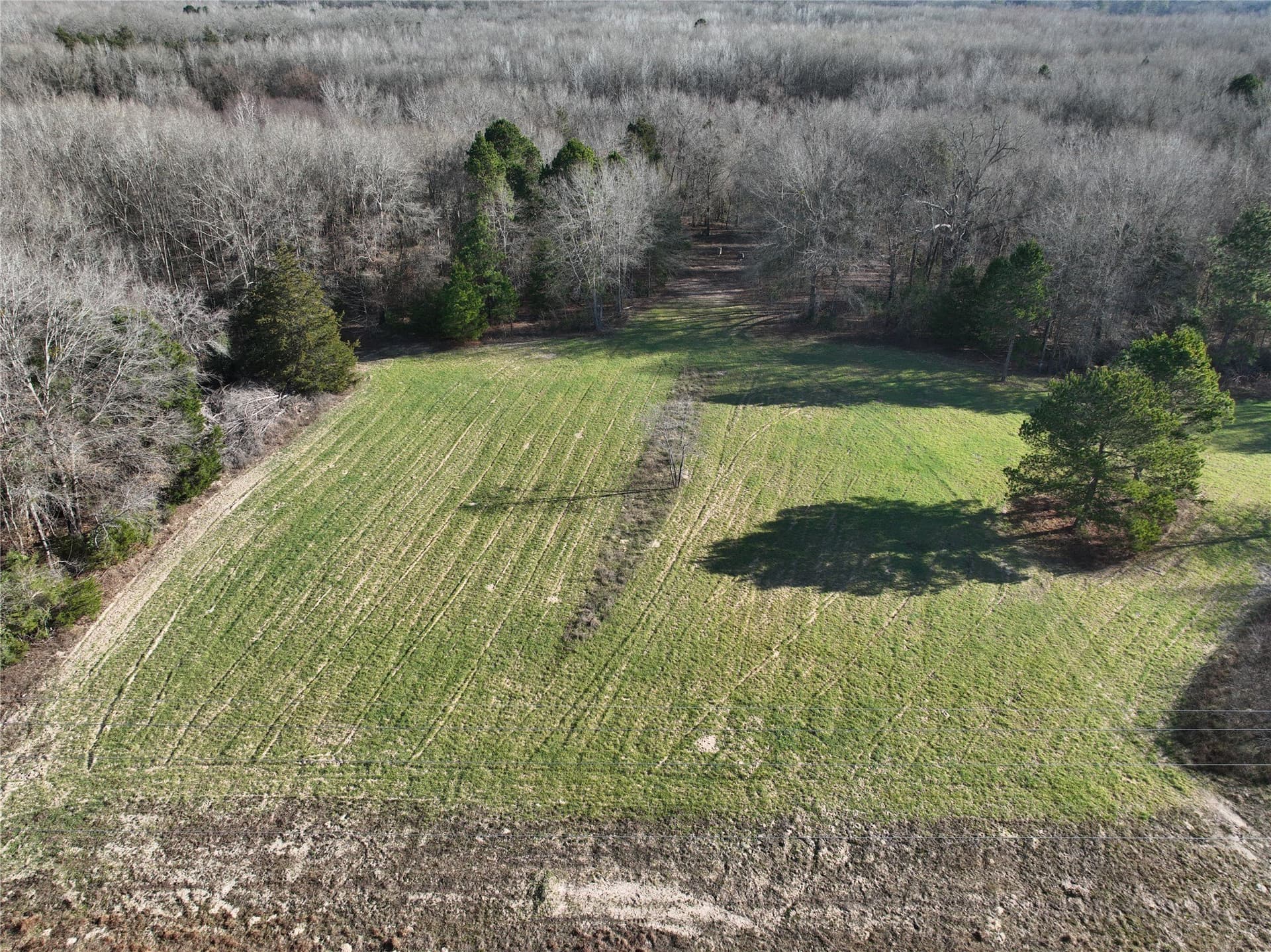 80.87 acres in Wood County - photo 7