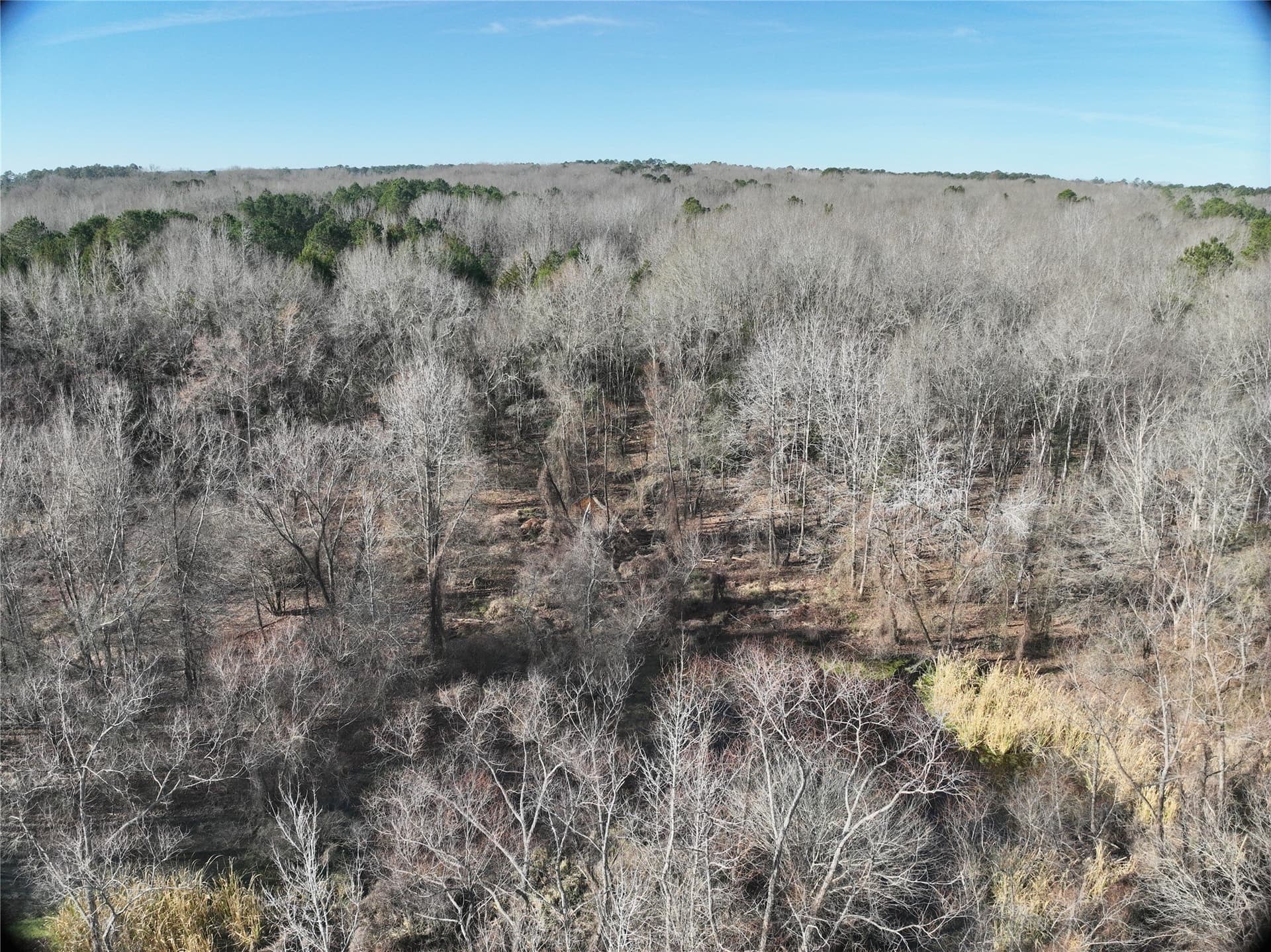 80.87 acres in Wood County - photo 12