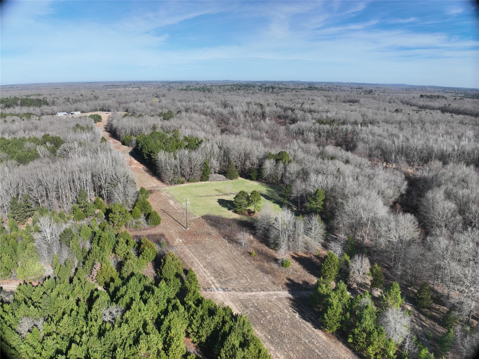 80.87 acres in Wood County - photo 8