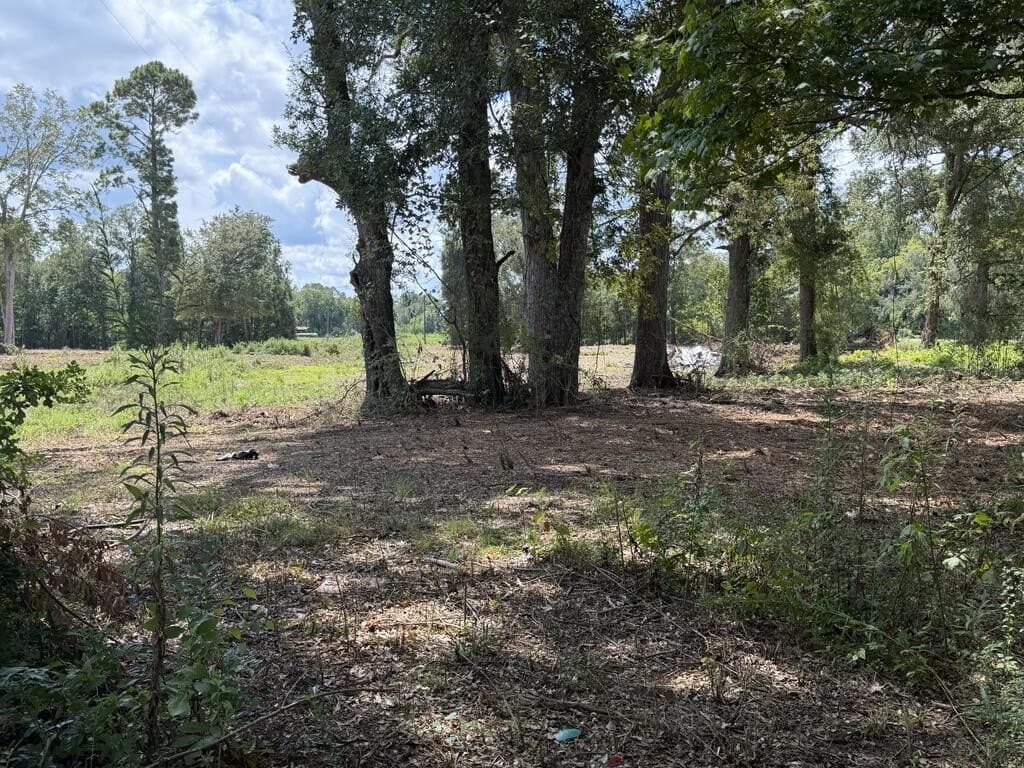 17.55 acres in Texas County - photo 6