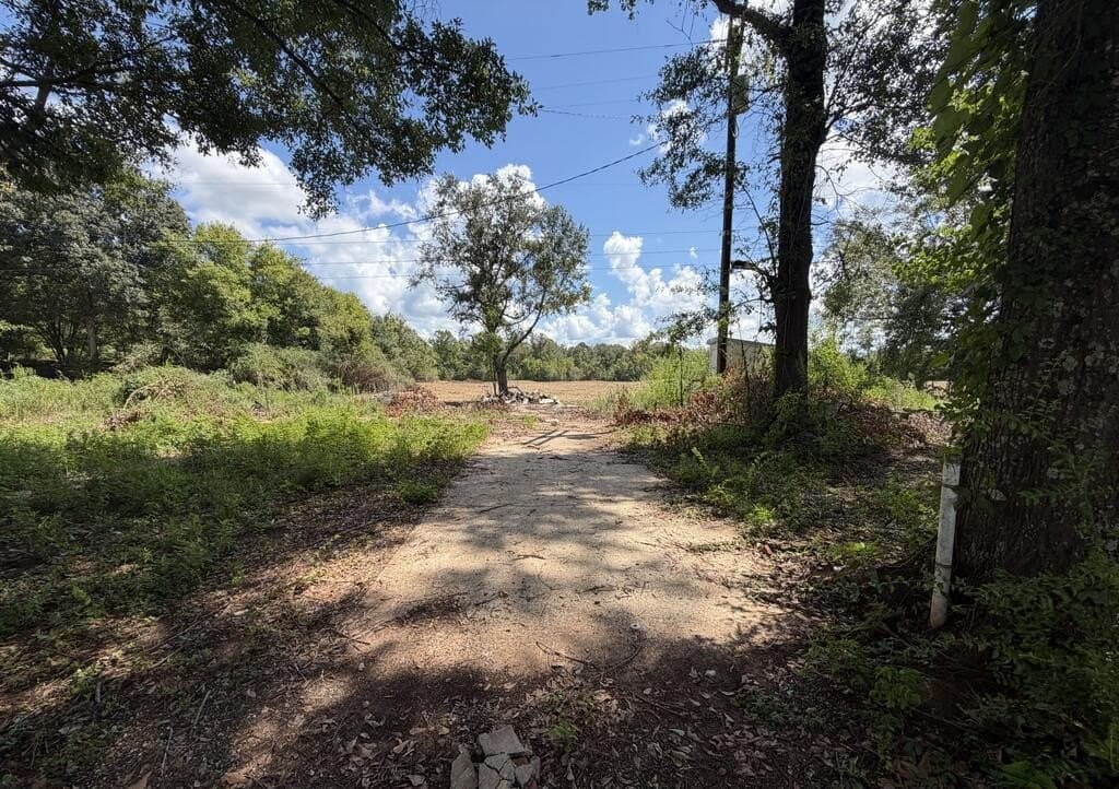 17.55 acres in Texas County - photo 3