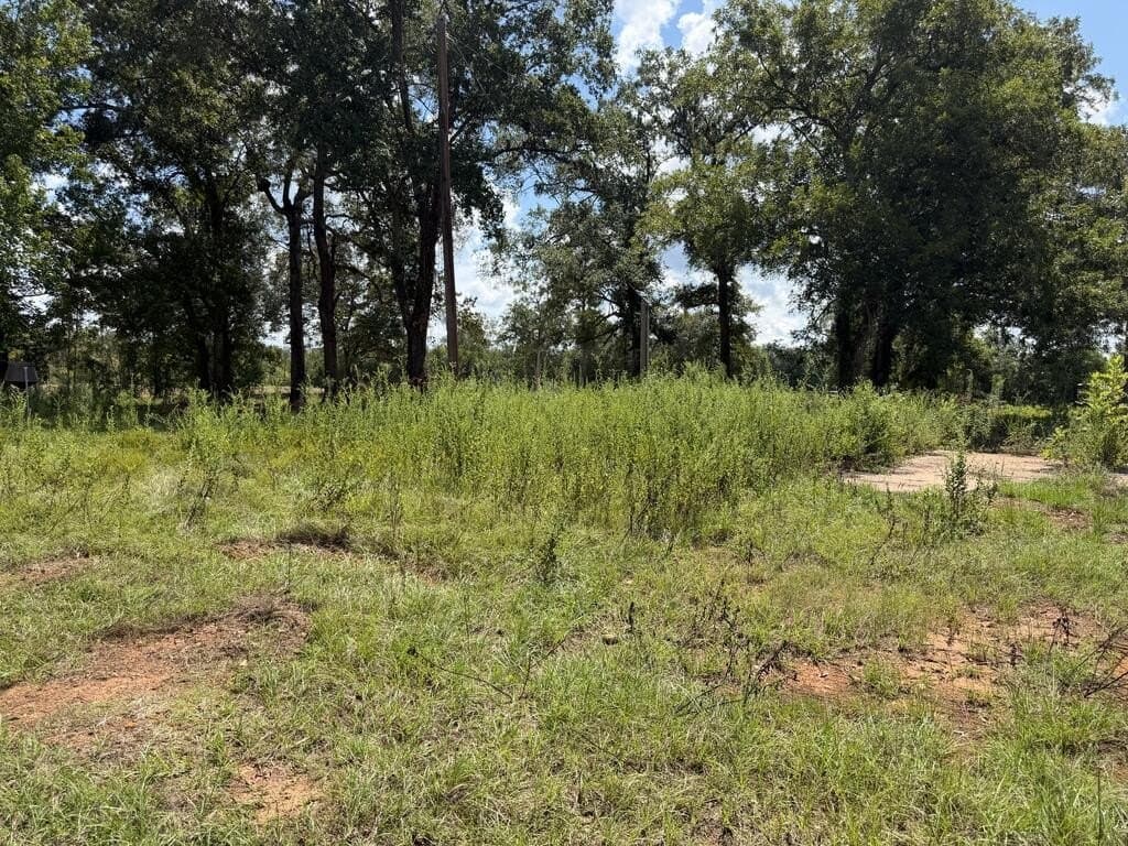 17.55 acres in Texas County - photo 12