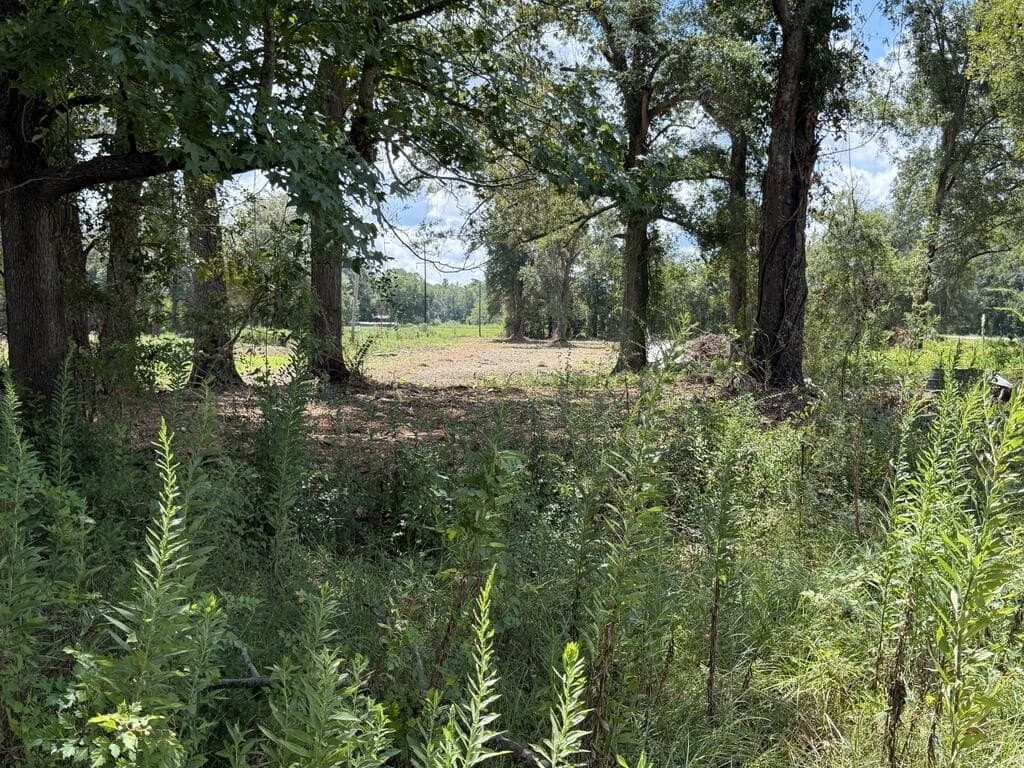 17.55 acres in Texas County - photo 9
