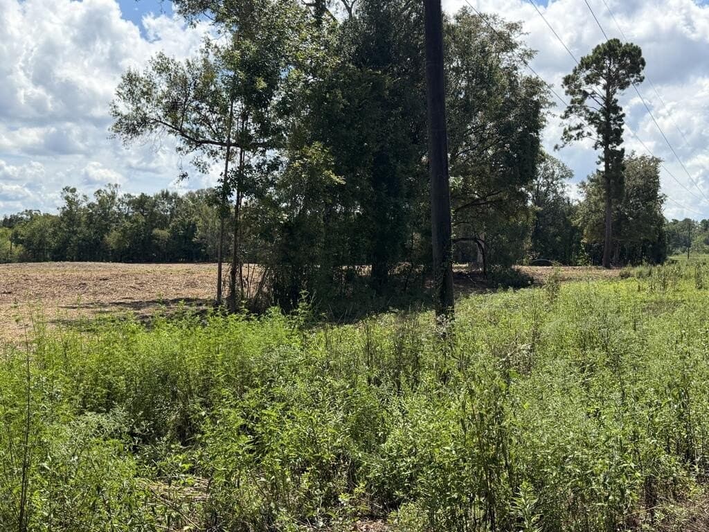 17.55 acres in Texas County - photo 13