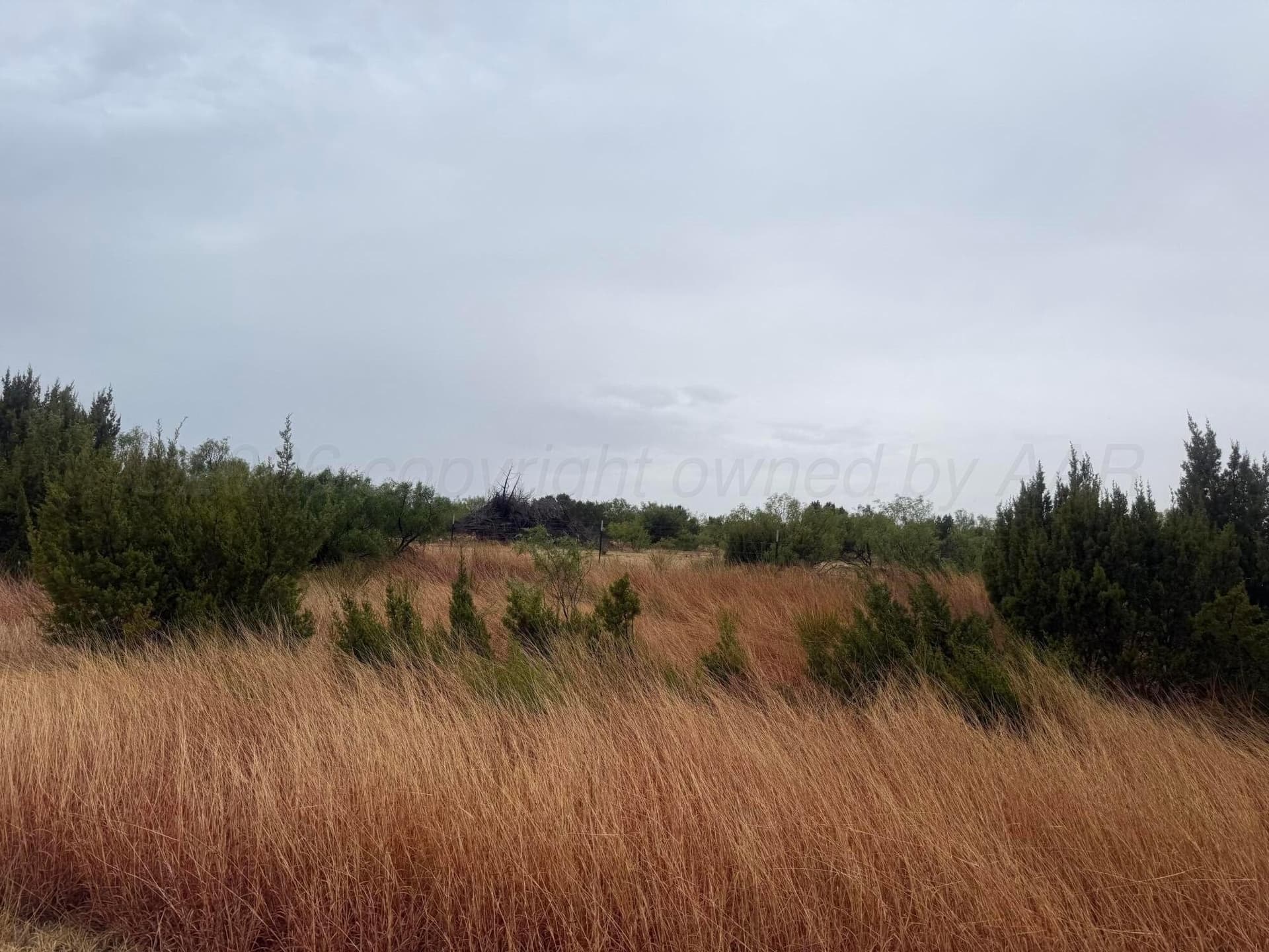 1,260.32 acres in Armstrong County gallery image 4