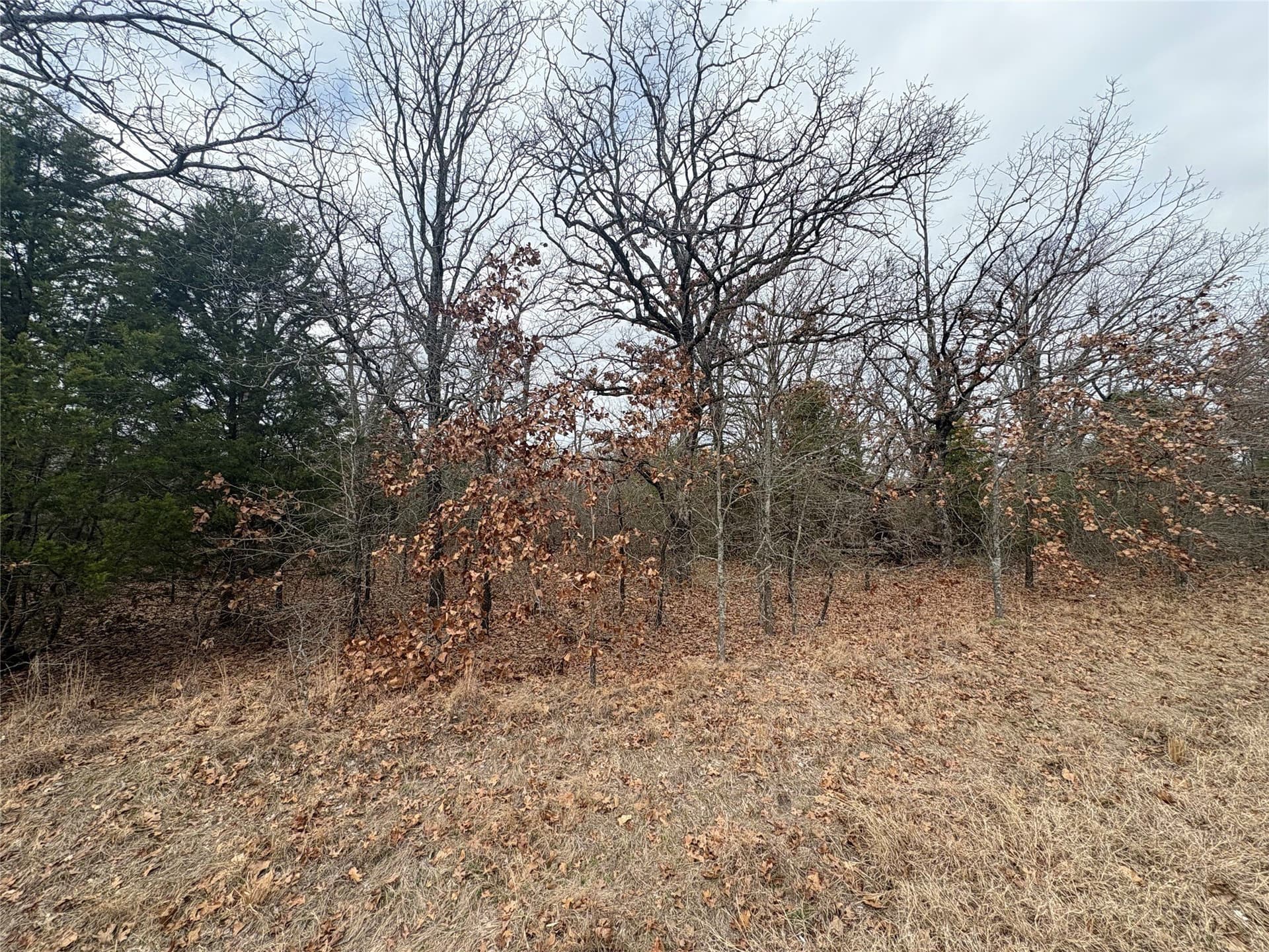 0.07 acres in Henderson County gallery image 2