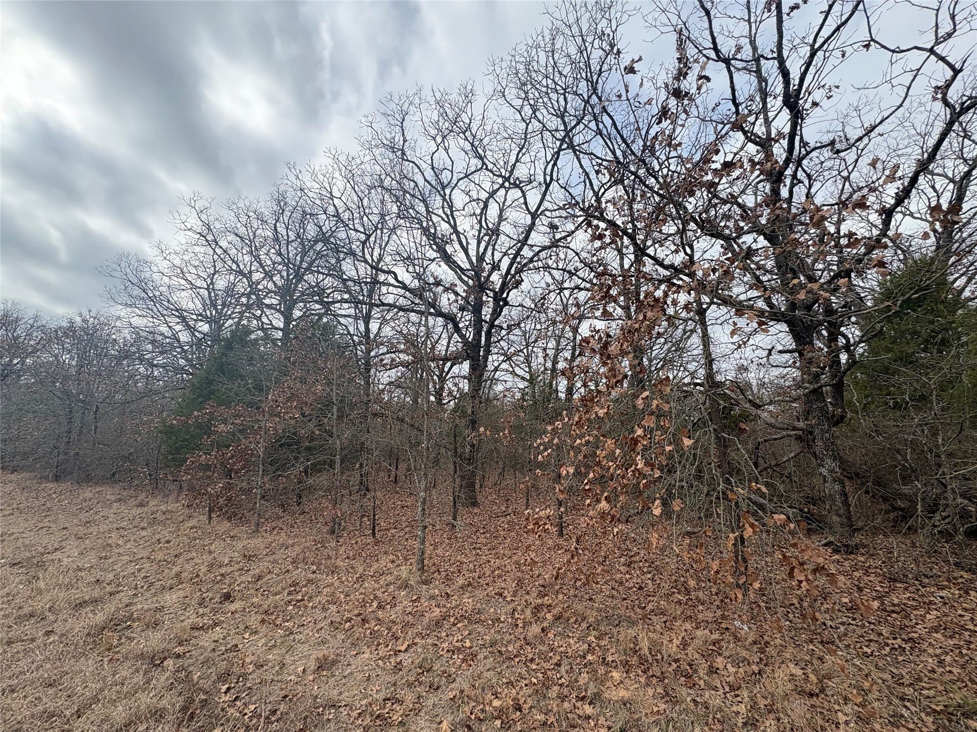 0.07 acres in Henderson County gallery image 3