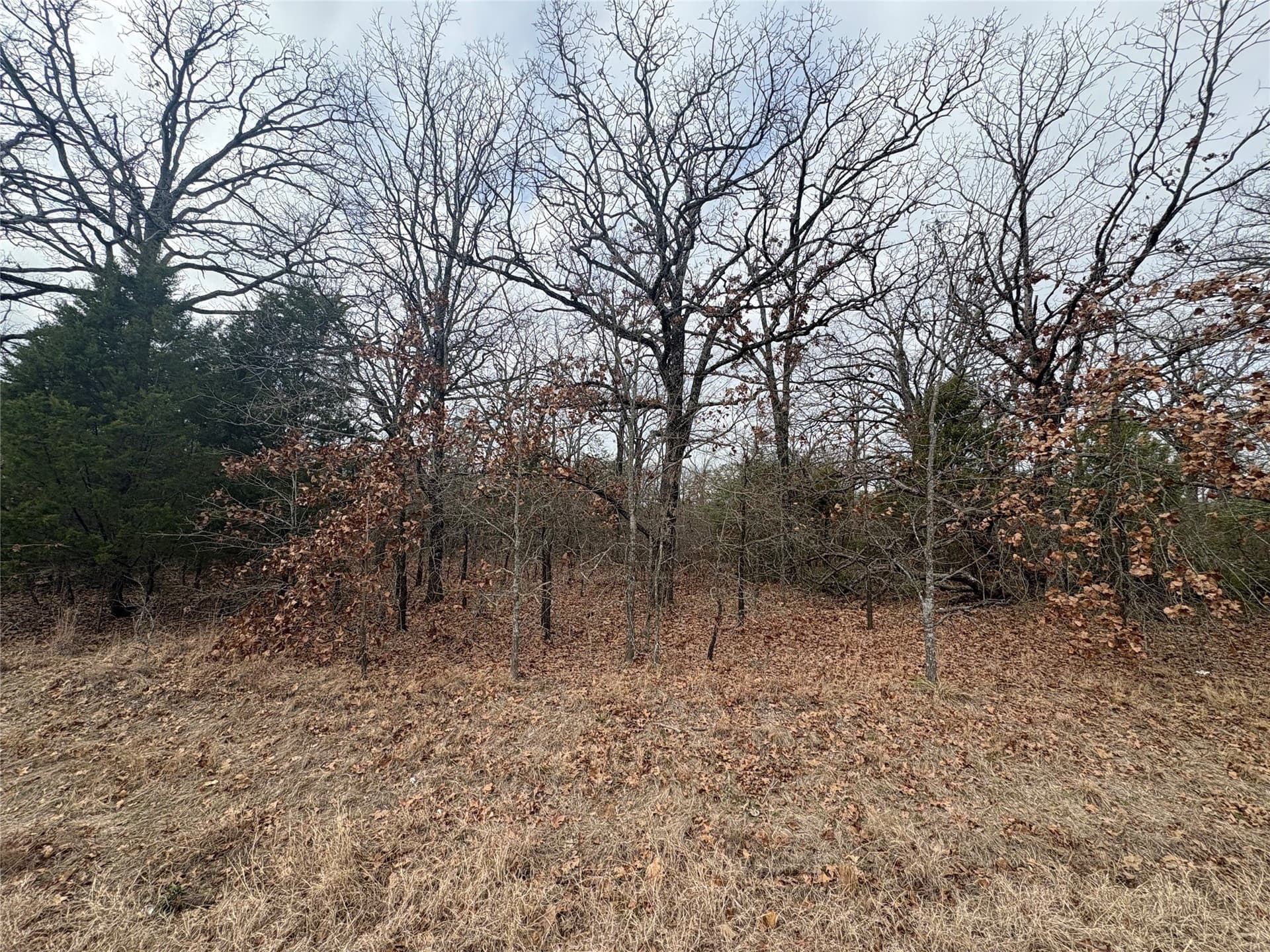 0.07 acres in Henderson County