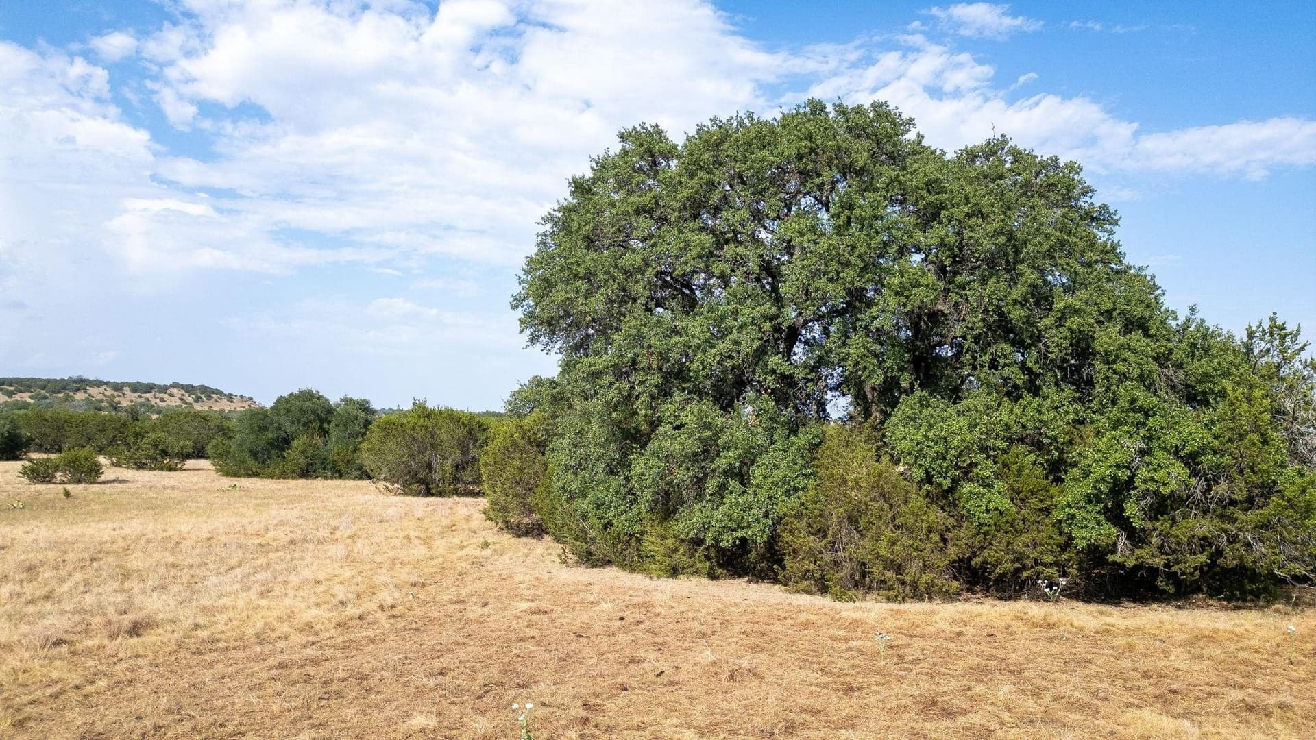 49.62 acres in Lampasas County - photo 2