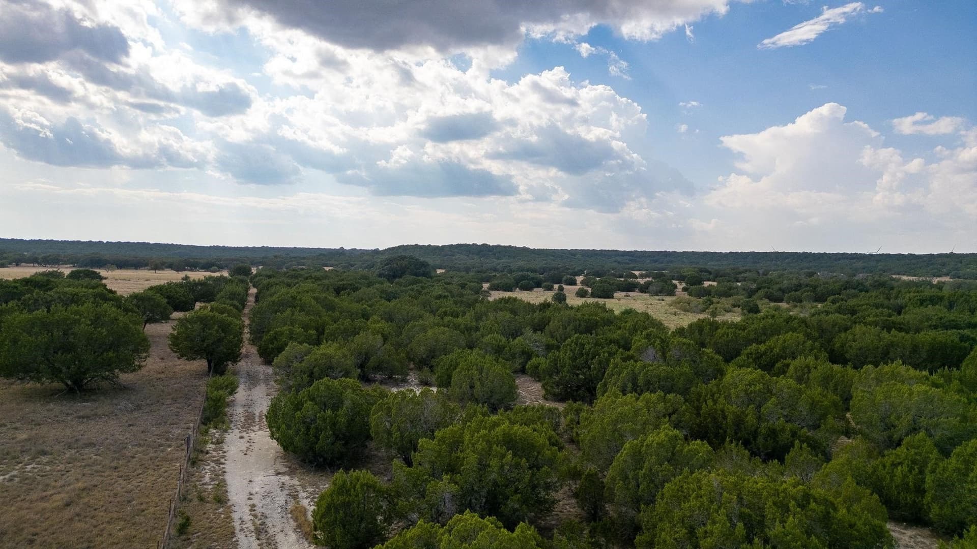 49.62 acres in Lampasas County - photo 18