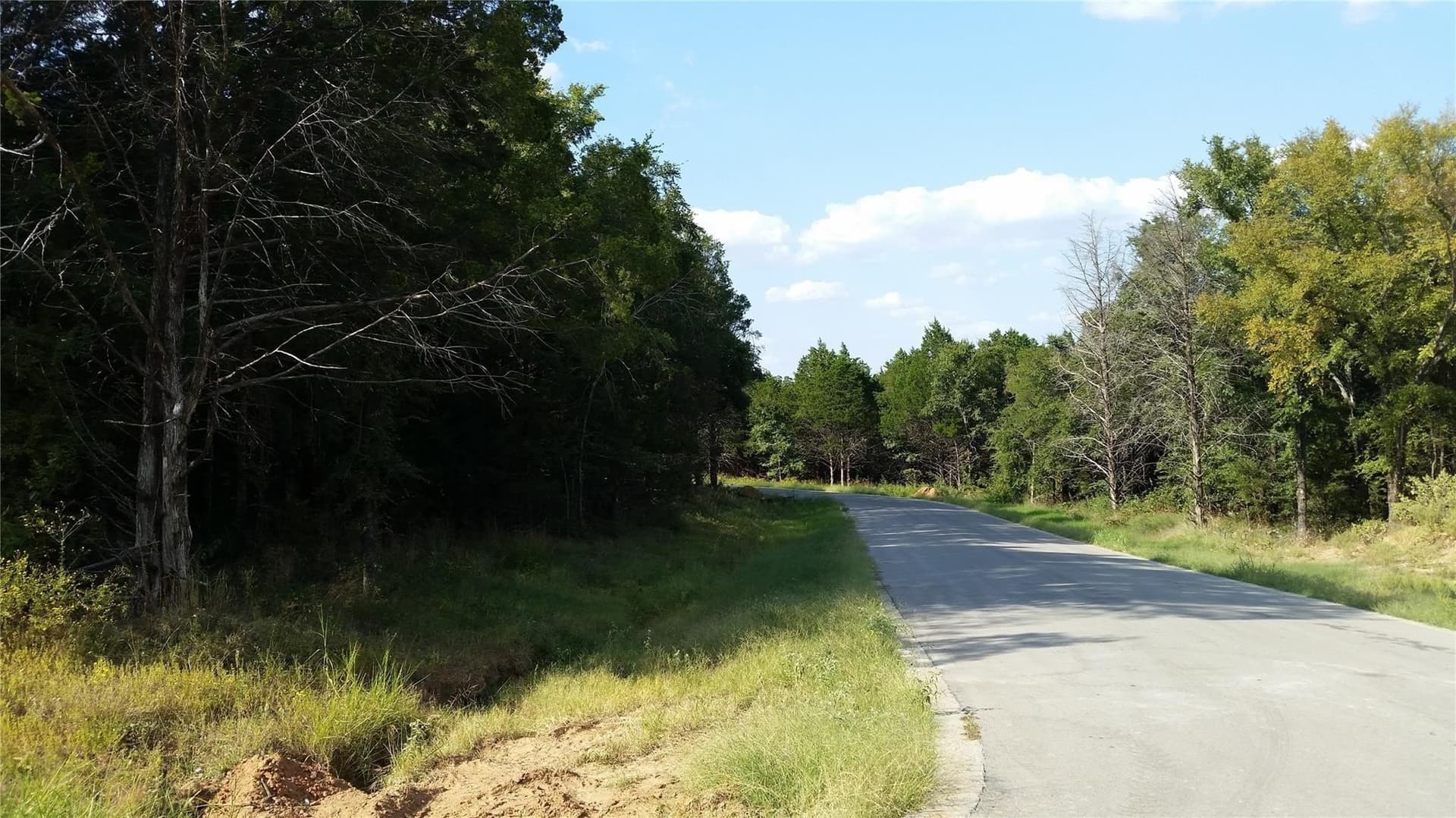 0.17 acres in Grayson County gallery image 3