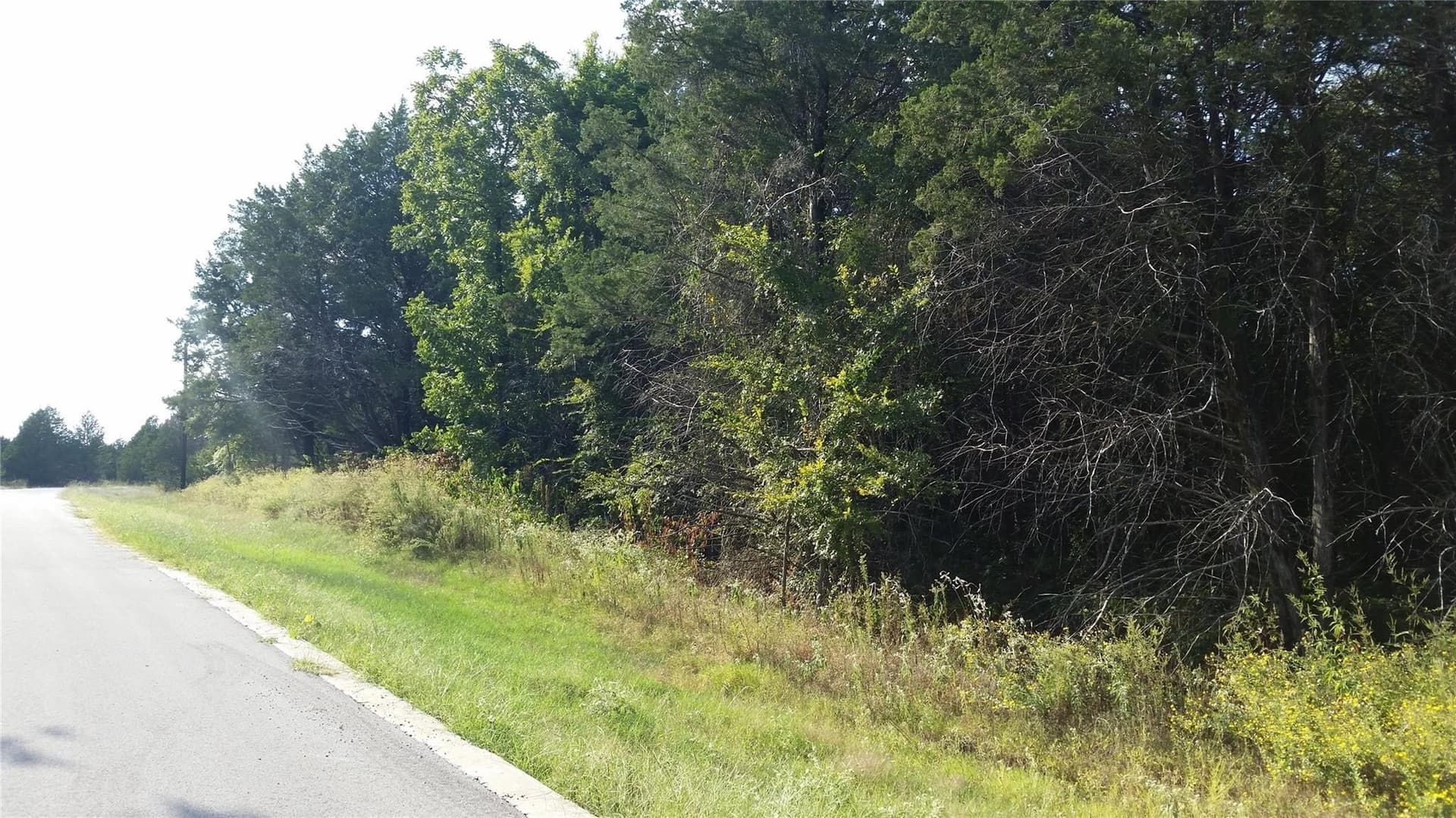 0.17 acres in Grayson County