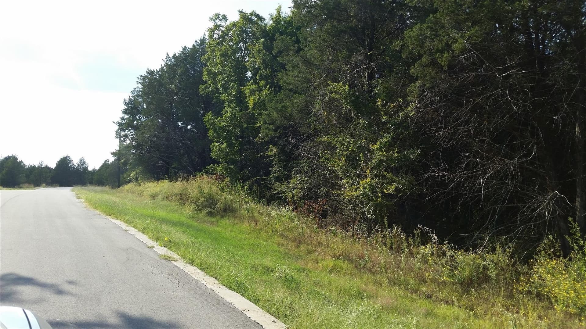 0.17 acres in Grayson County gallery image 2
