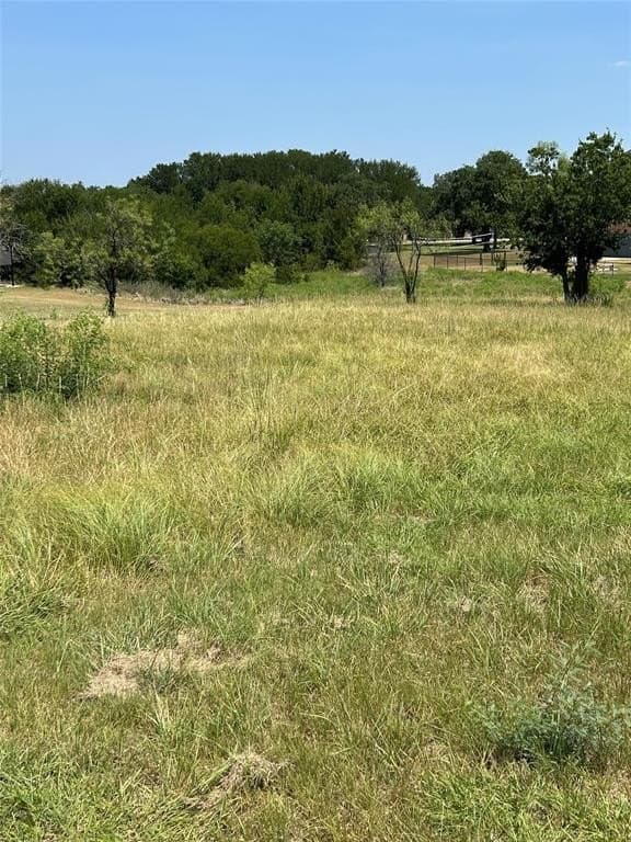 0.25 acres in Wise County gallery image 4