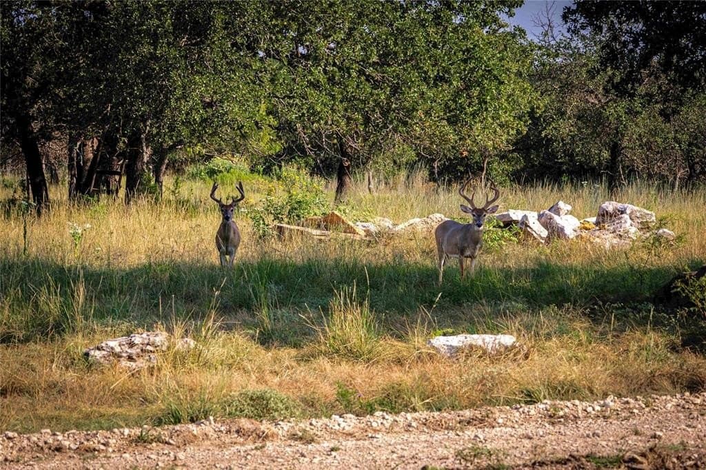 324 acres in Hamilton County gallery image 3