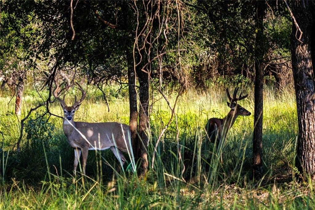 324 acres in Hamilton County gallery image 2