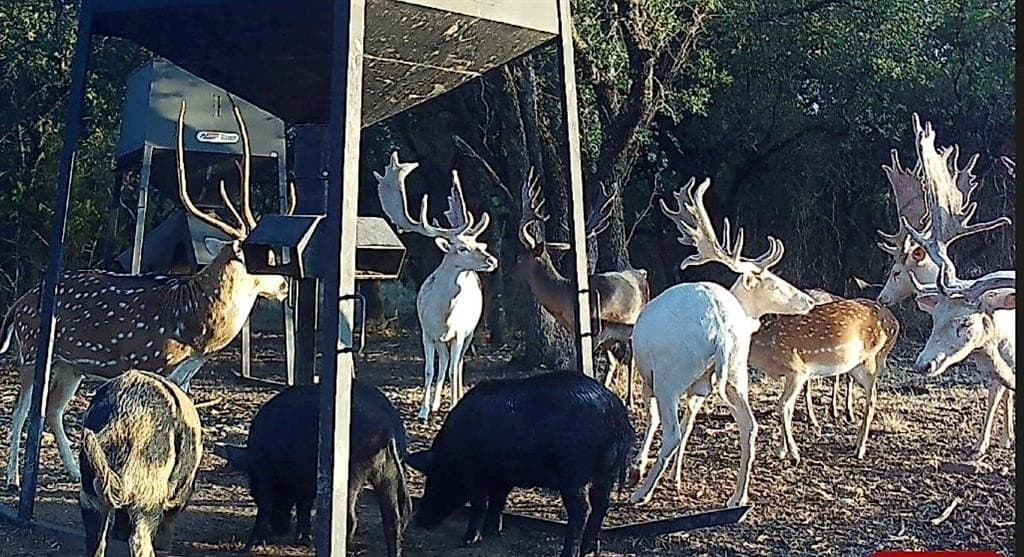 324 acres in Hamilton County featured view