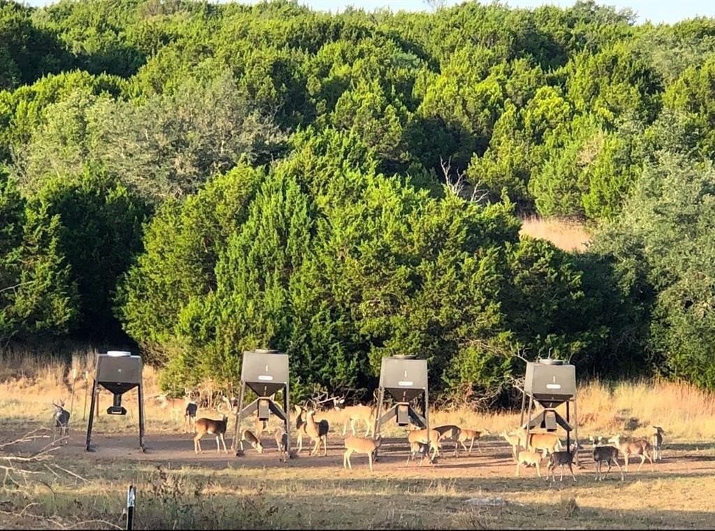 324 acres in Hamilton County gallery image 4