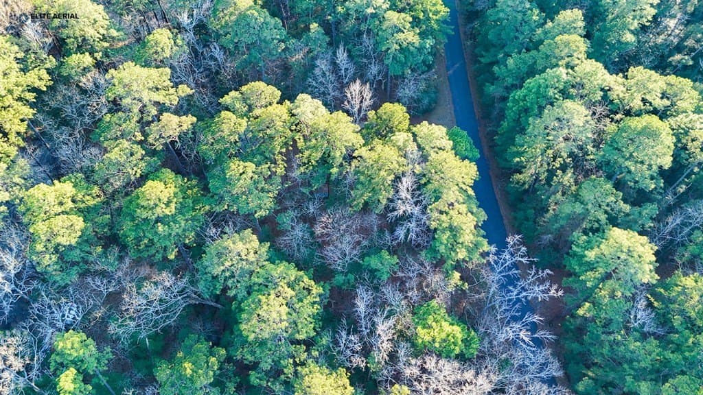 0.24 acres in Texas County - photo 16