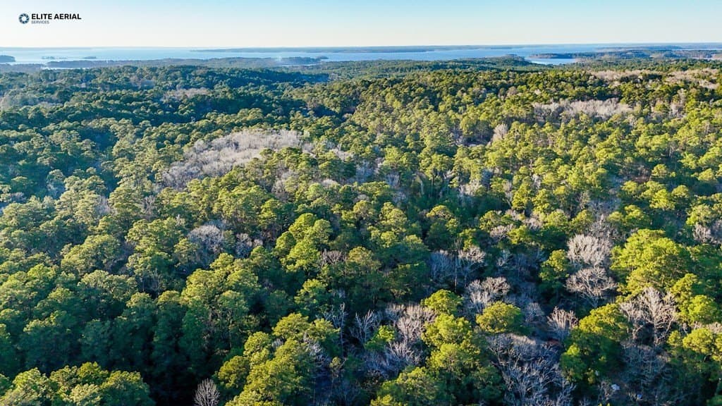 0.24 acres in Texas County - photo 4
