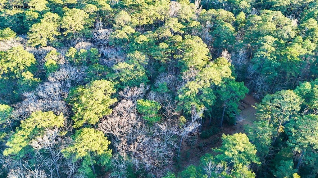 0.24 acres in Texas County - photo 18