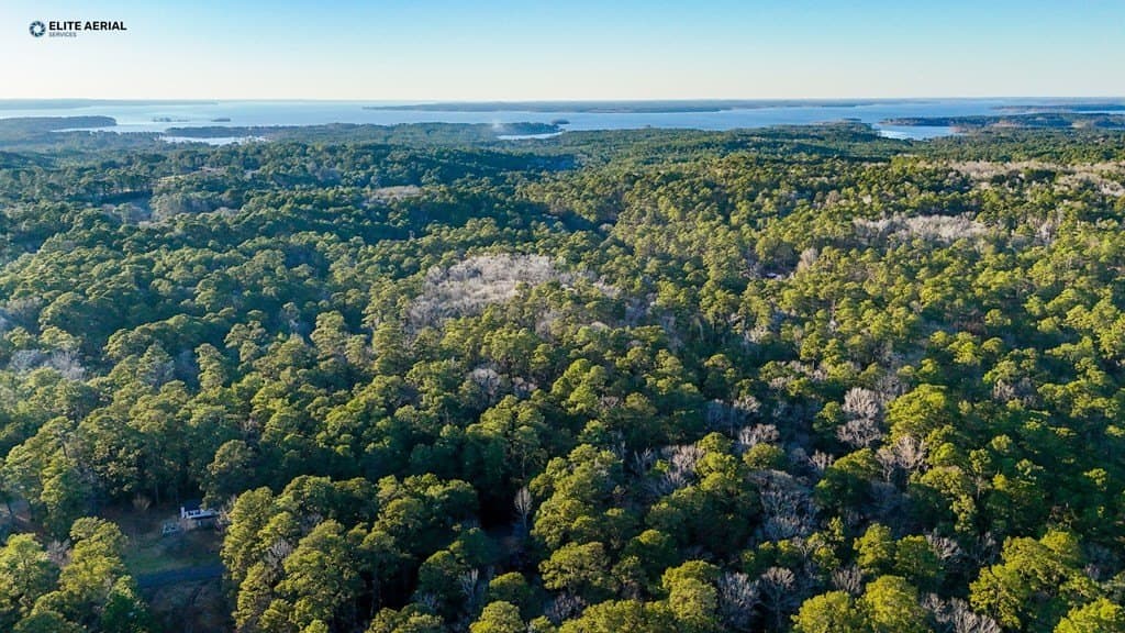 0.24 acres in Texas County - photo 3