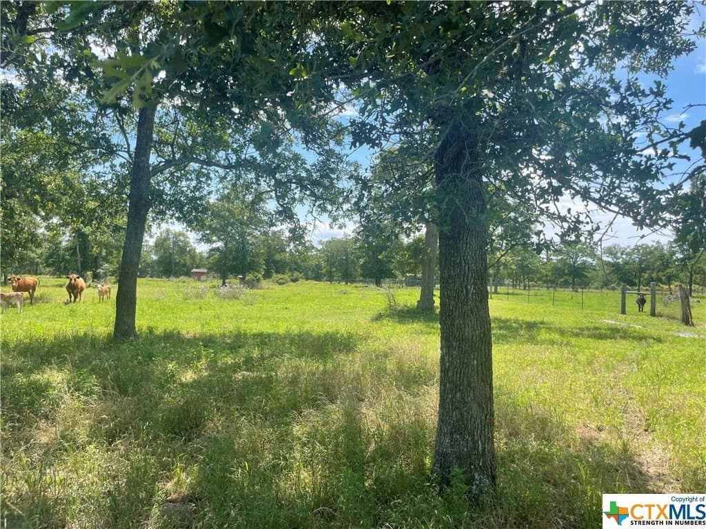 14.86 acres in Colorado County - photo 13