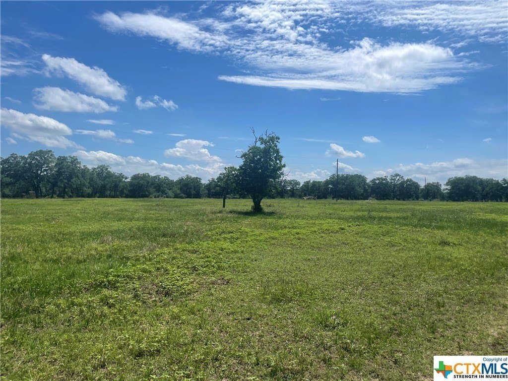 14.86 acres in Colorado County - photo 7