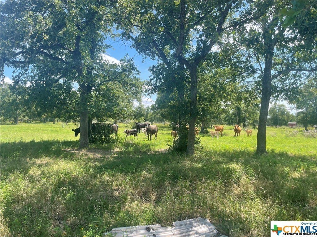 14.86 acres in Colorado County - photo 14