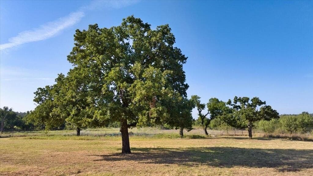 5.4 acres in Mason County - photo 15