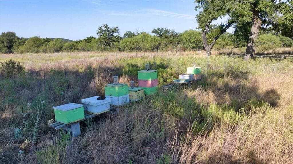 5.4 acres in Mason County - photo 8