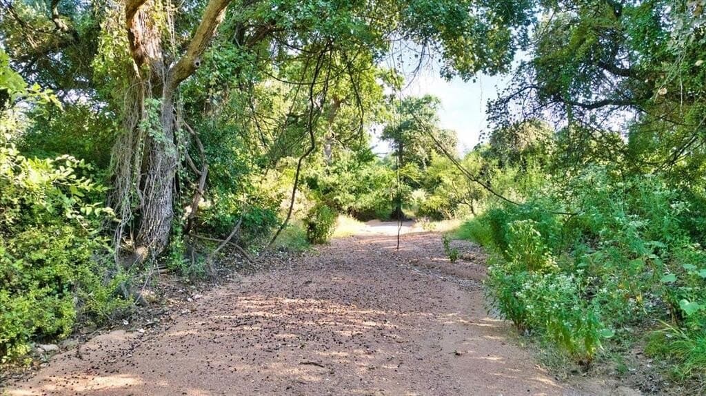 5.4 acres in Mason County - photo 16