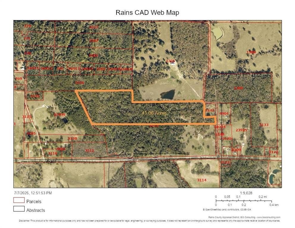41.06 acres in Rains County gallery image 4