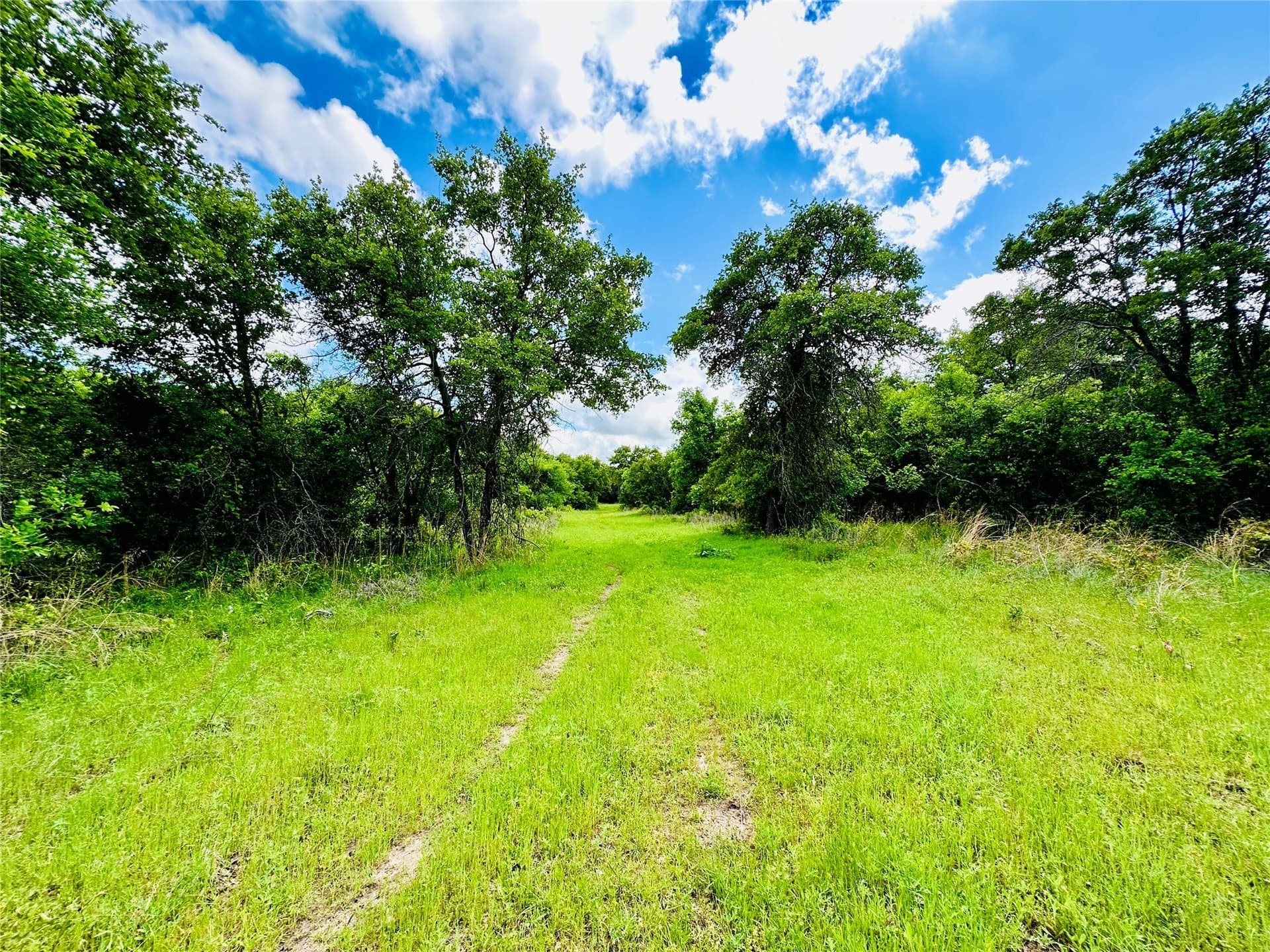 50.43 acres in Eastland County - photo 37