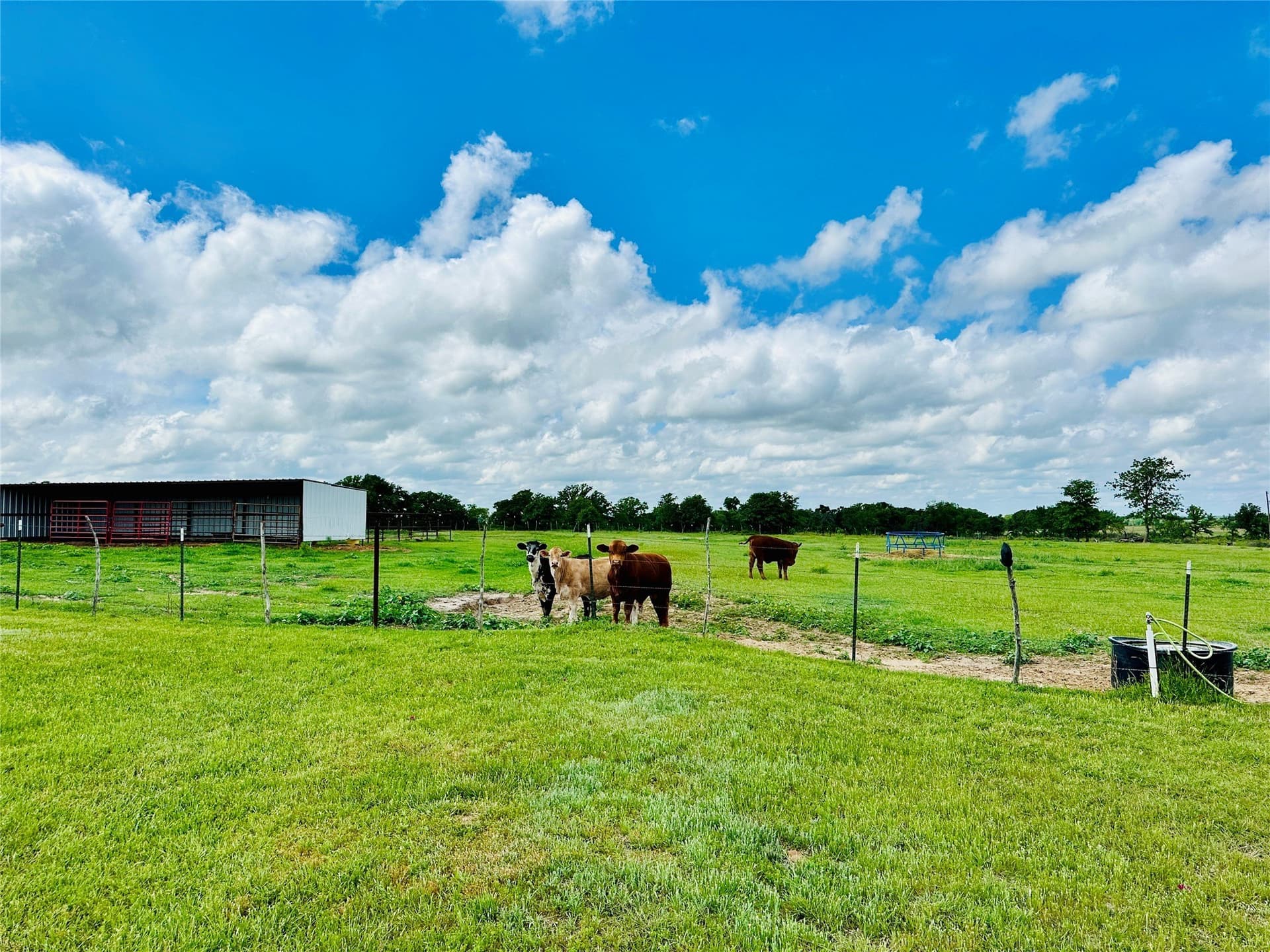 50.43 acres in Eastland County - photo 34