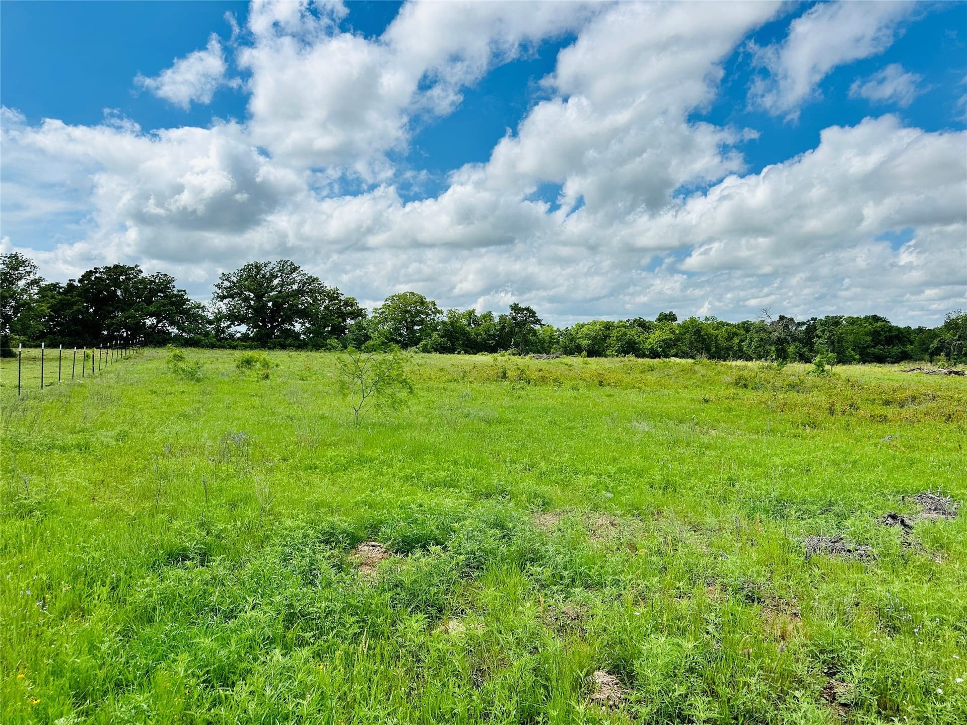 50.43 acres in Eastland County - photo 39