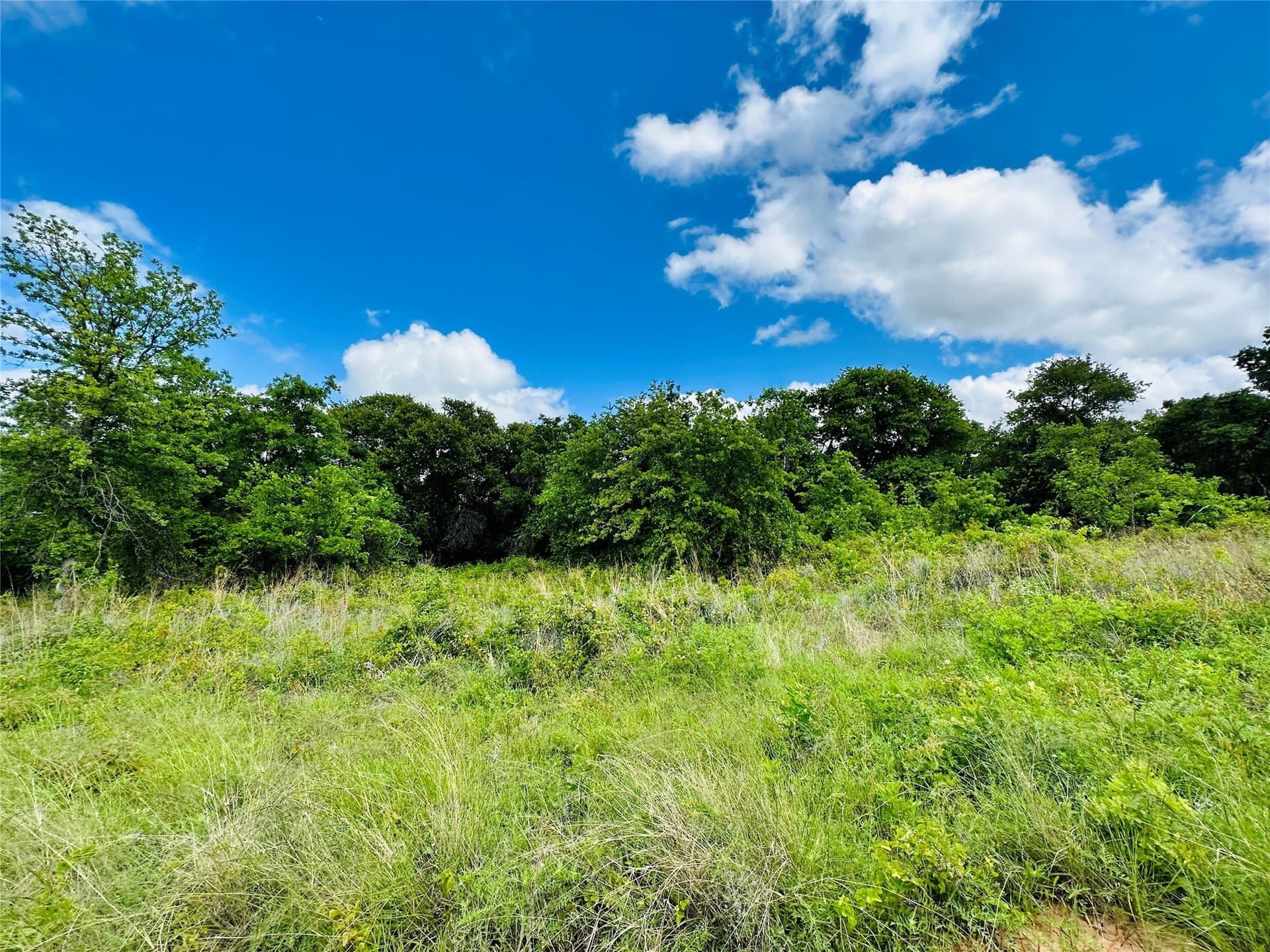 50.43 acres in Eastland County - photo 38
