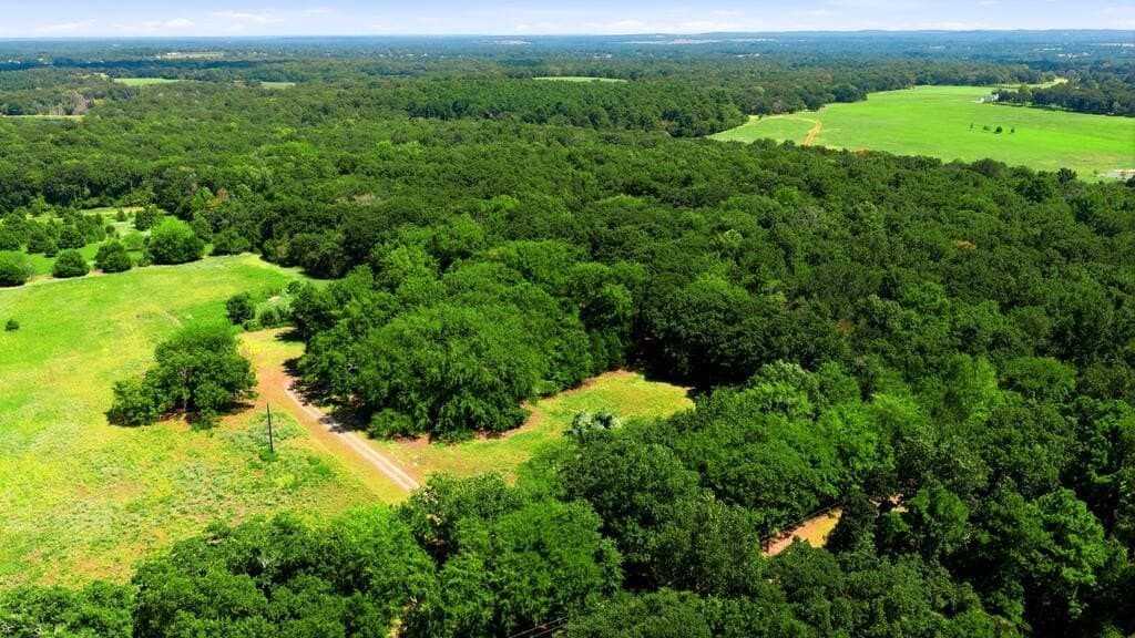 10 acres in Henderson County - photo 23