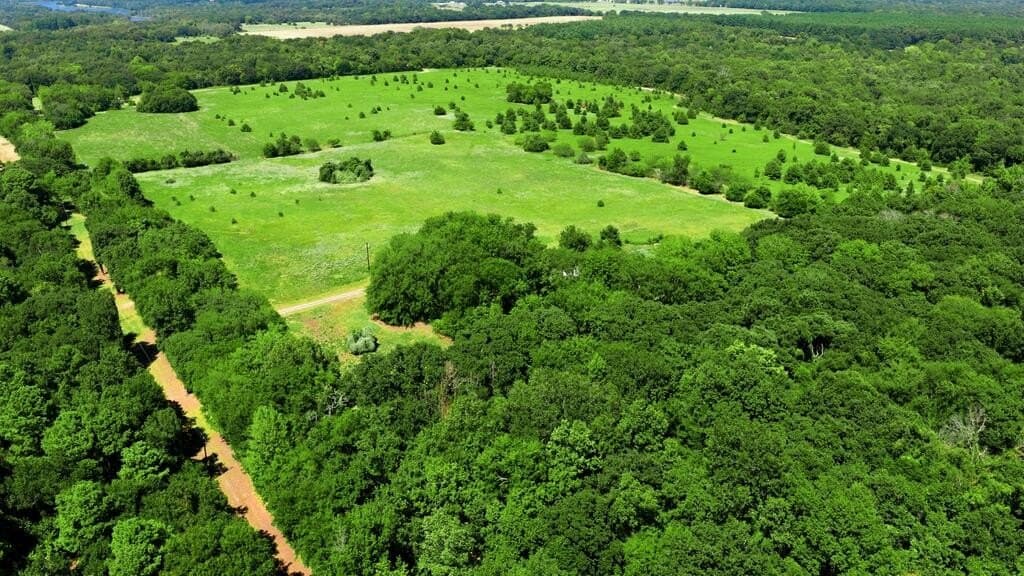 10 acres in Henderson County - photo 24