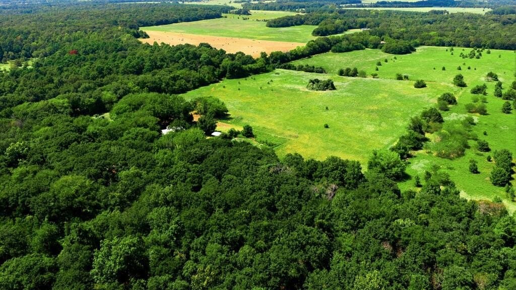 10 acres in Henderson County - photo 22