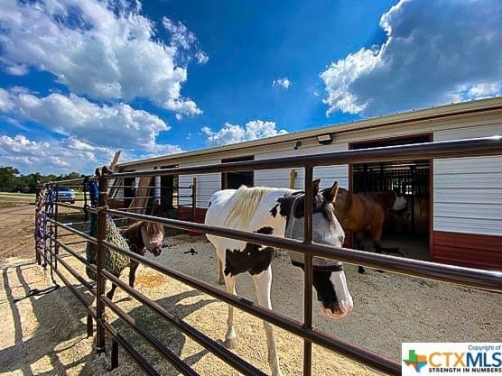 32.36 acres in Comal County - photo 8