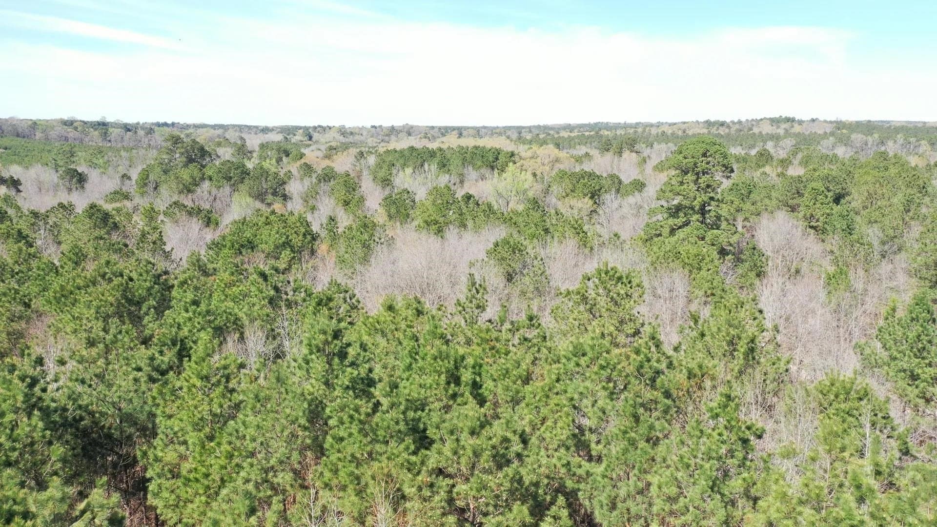 11.81 acres in Cass County gallery image 2