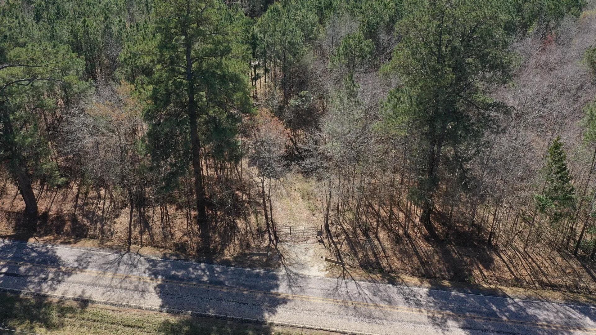 11.81 acres in Cass County gallery image 4