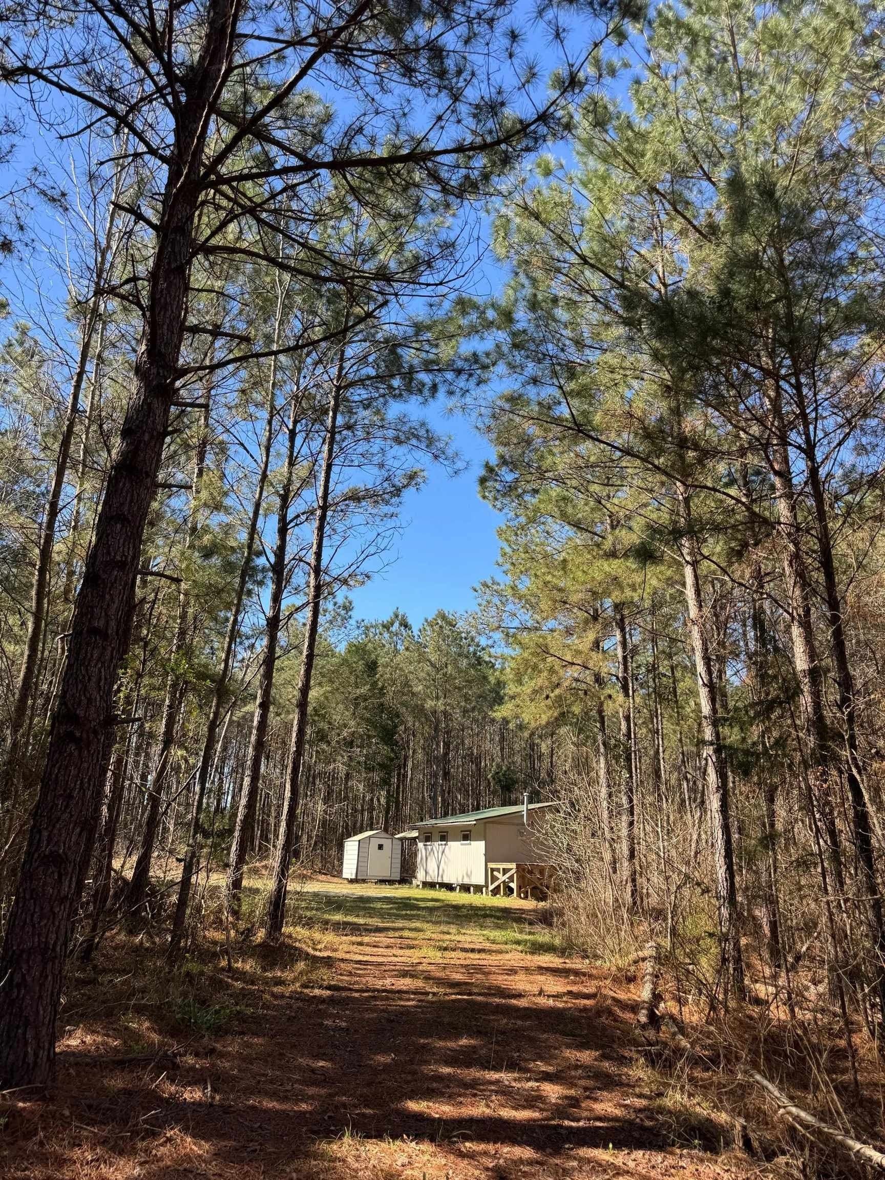 11.81 acres in Cass County featured view