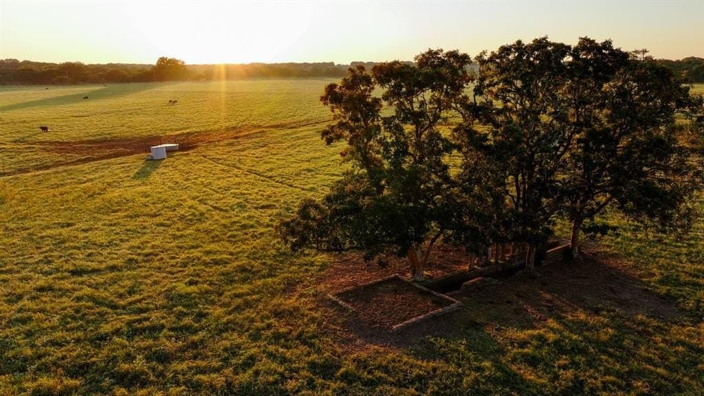 421.38 acres in Montague County featured view