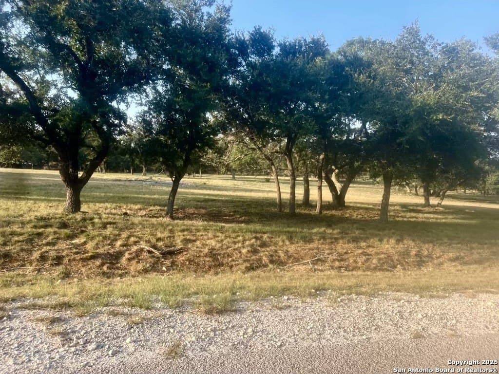 5.47 acres in Blanco County - photo 8