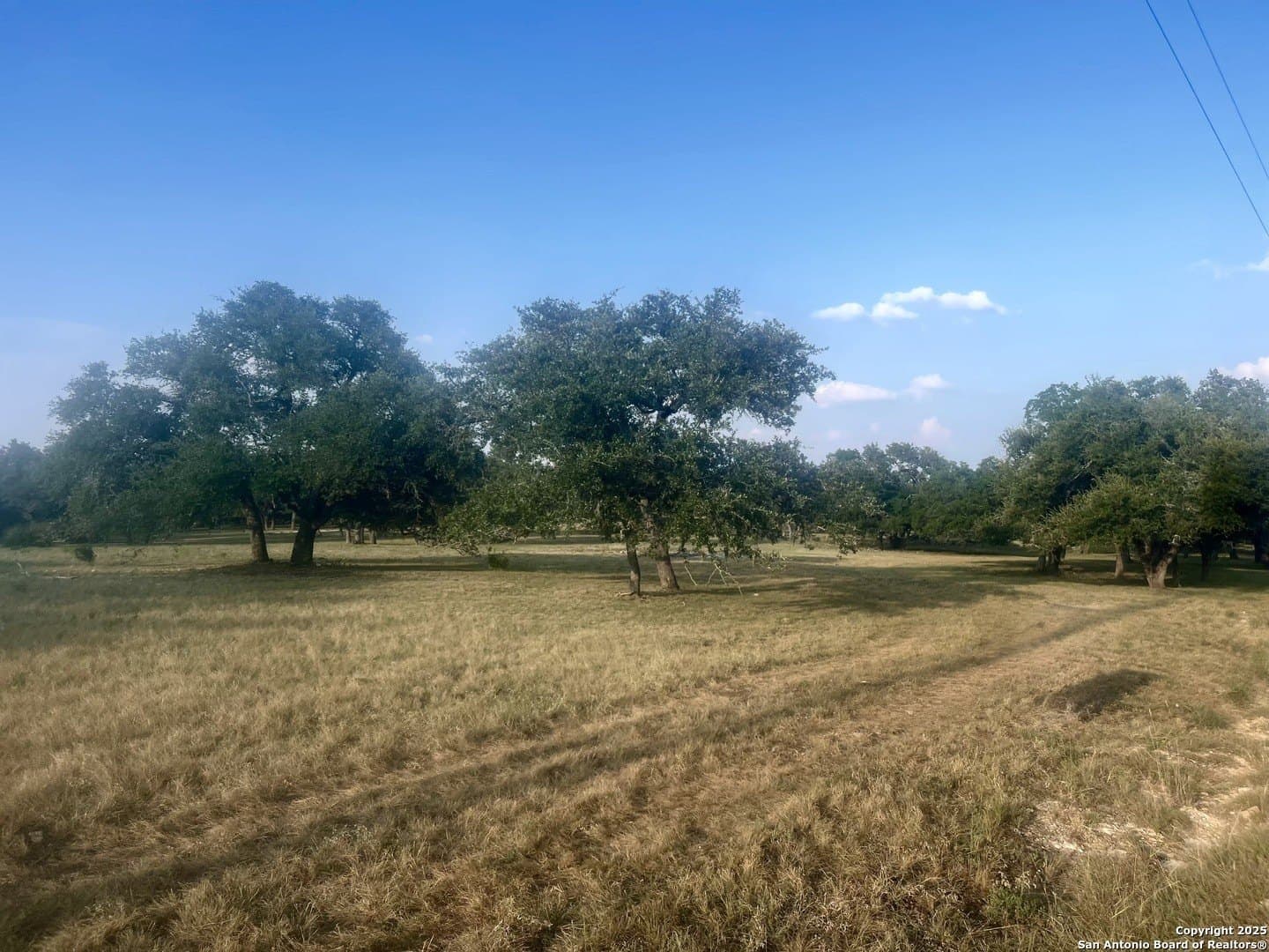5.47 acres in Blanco County gallery image 4